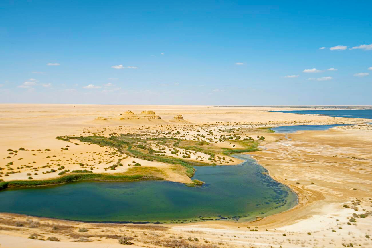 Everything About Egypt Oasis and How to Enjoy Them - Egypt Tours Portal